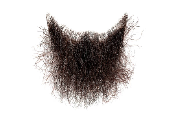 Trendy Garibaldi Beard Style Of 2024